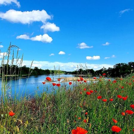 Larbrenville Gites Citadins En Centre-Ville Historique ラ・シャリテ エクステリア 写真